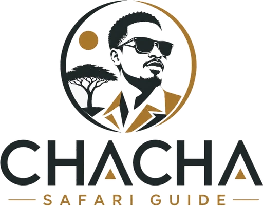 Chacha Safari Guide